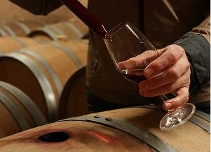 Domaine viticole de vins naturels à Saint Anne près de Vendpome - Loir et Cher (41)