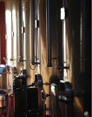 Vinification naturelle réalisée par Brendan Tracey, au Domaine des Vins de Saint Anne - 41