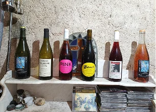Producteur de vins naturels aux dénominations atypiques à Saint Anne près de Vendôme - Loir et Cher