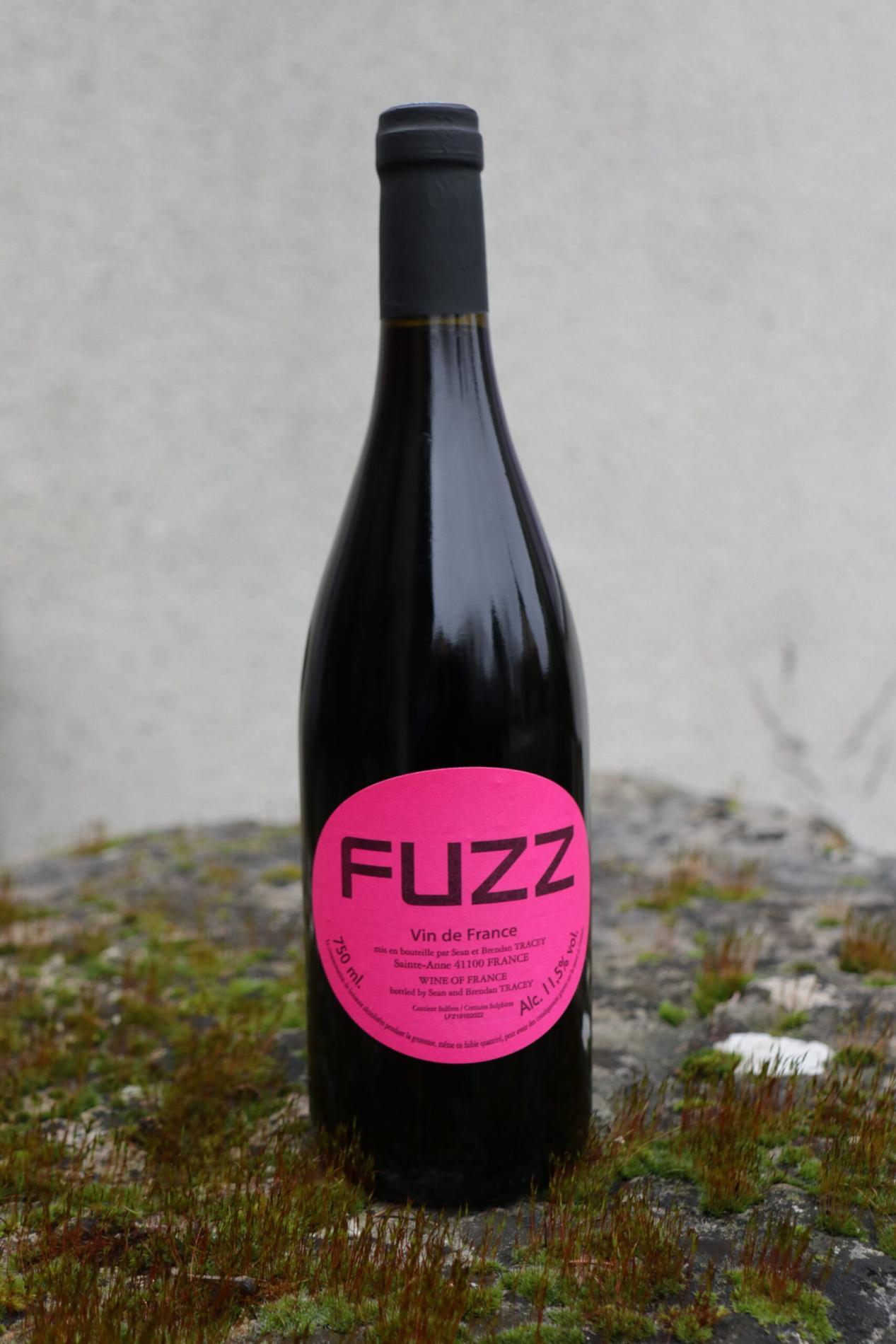 Fuzz 2021