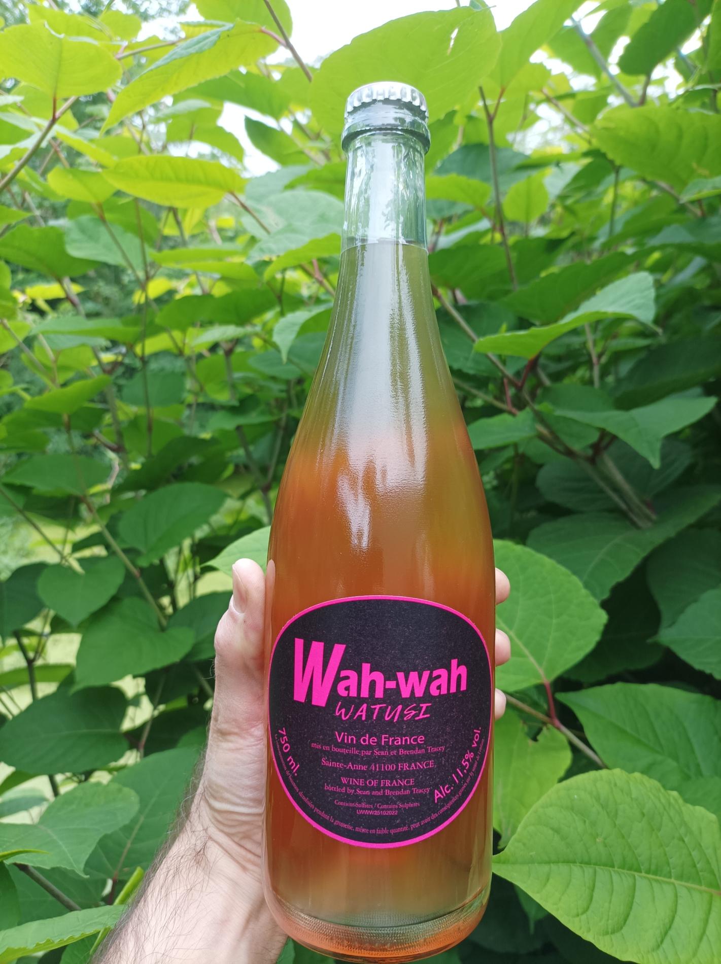 Wah-Wah Watusi